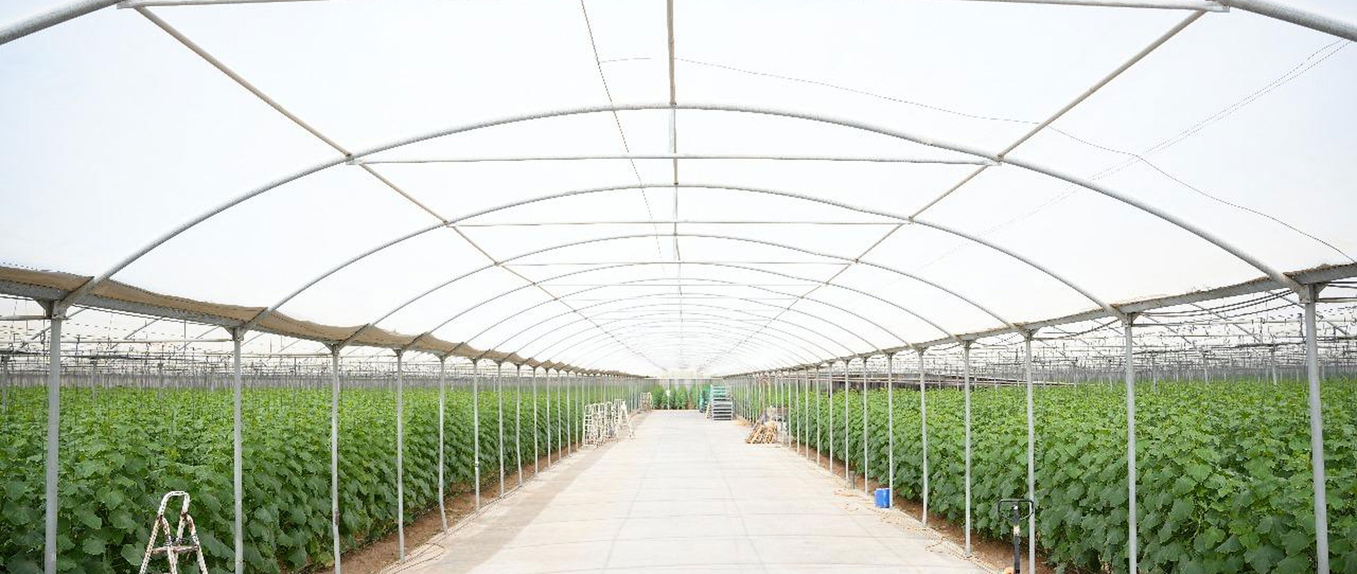 Futurelife-home2-slideshow